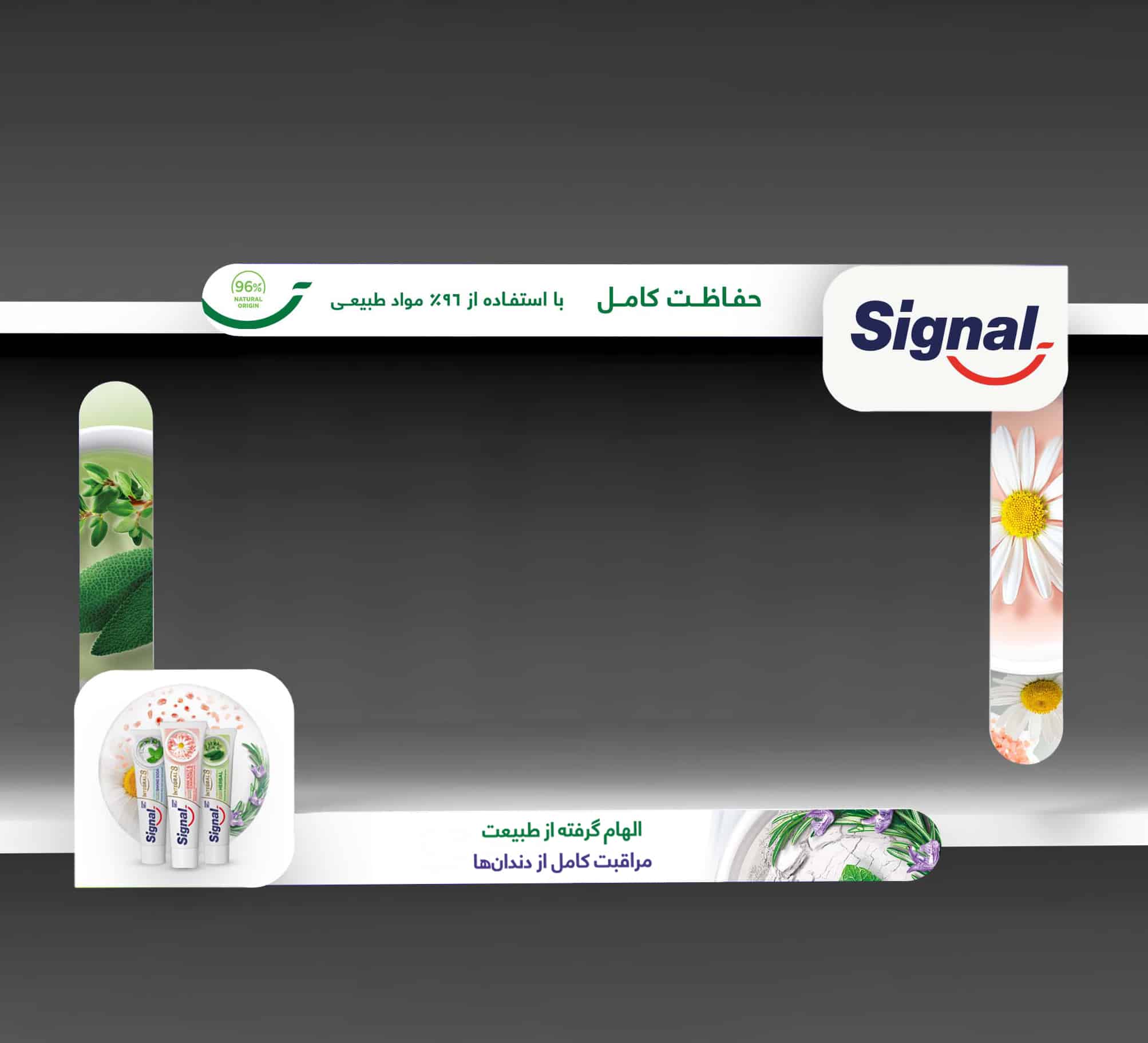 شلف فریم سیگنال